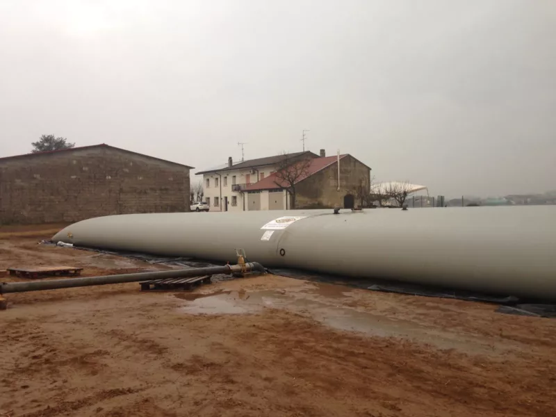 Première mondiale ! Première mondiale !