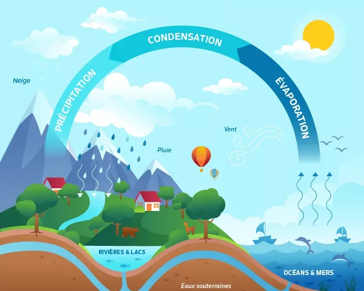 Les eaux souterraines : une ressource invisible Les eaux souterraines : une ressource invisible