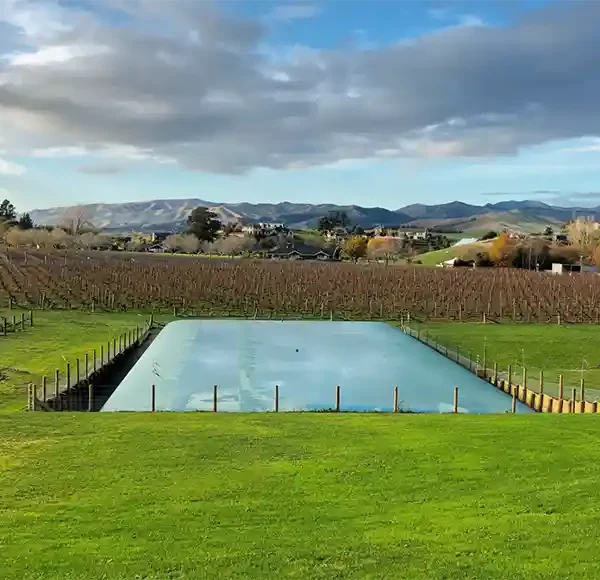 Vendanges : comment anticiper le pic d’effluents en période de récolte ?